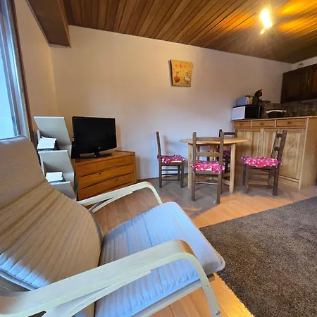 Appartement Les Brimbelles 27 Au Pied Du Telemix De Belle Etoile Les Deux Alpes